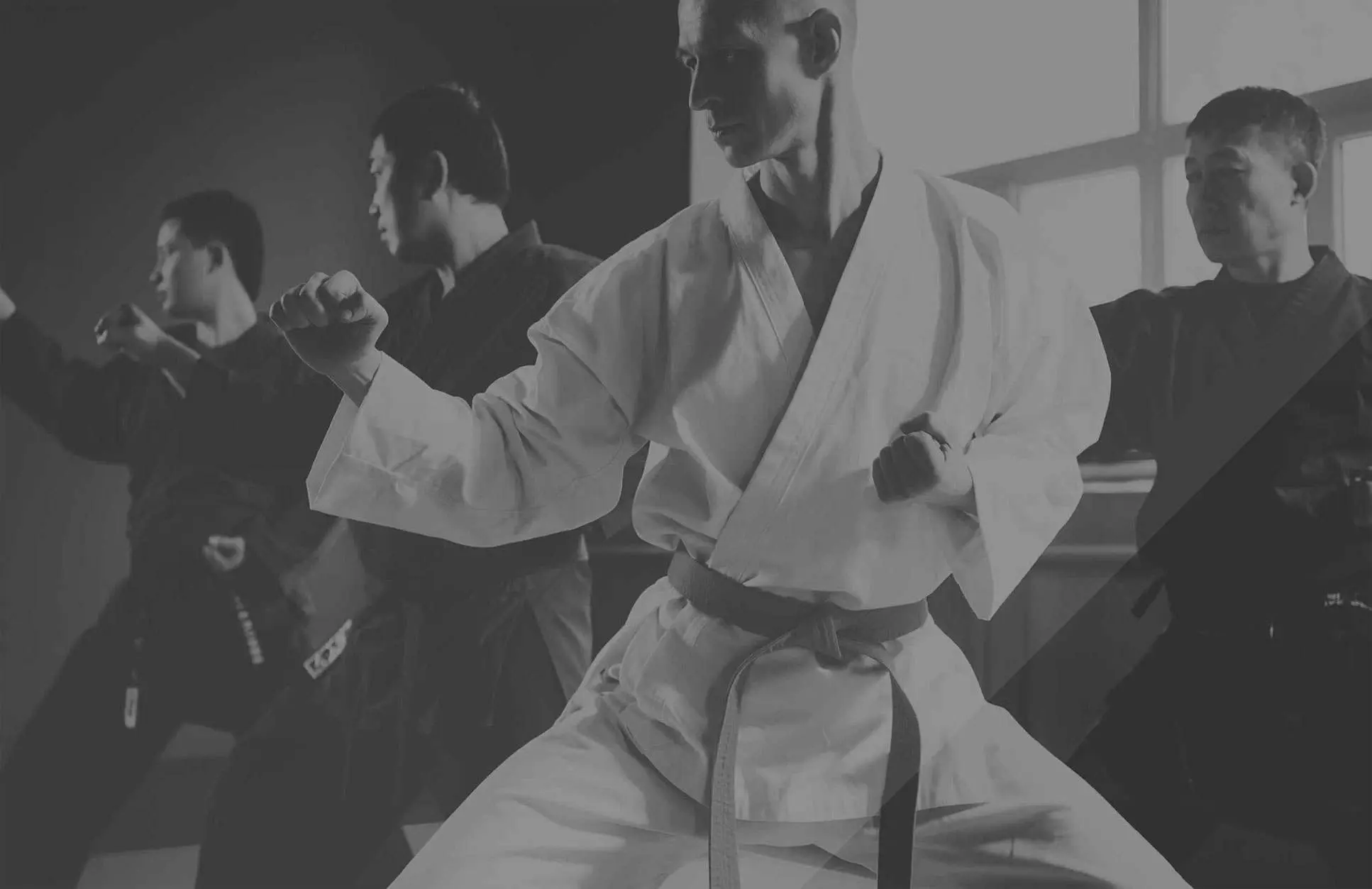 Hapkidowallpaperblkwht, Scottsdale Martial Arts Center